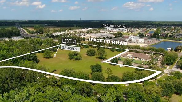 Lot 4-1 - Pacetti Road / Entrance to WGV King and Bear Community: Pacetti Rd, Flagler Beach, FL, 32136